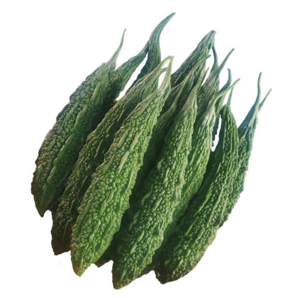 Vegetable-Products-Known-You Seed India